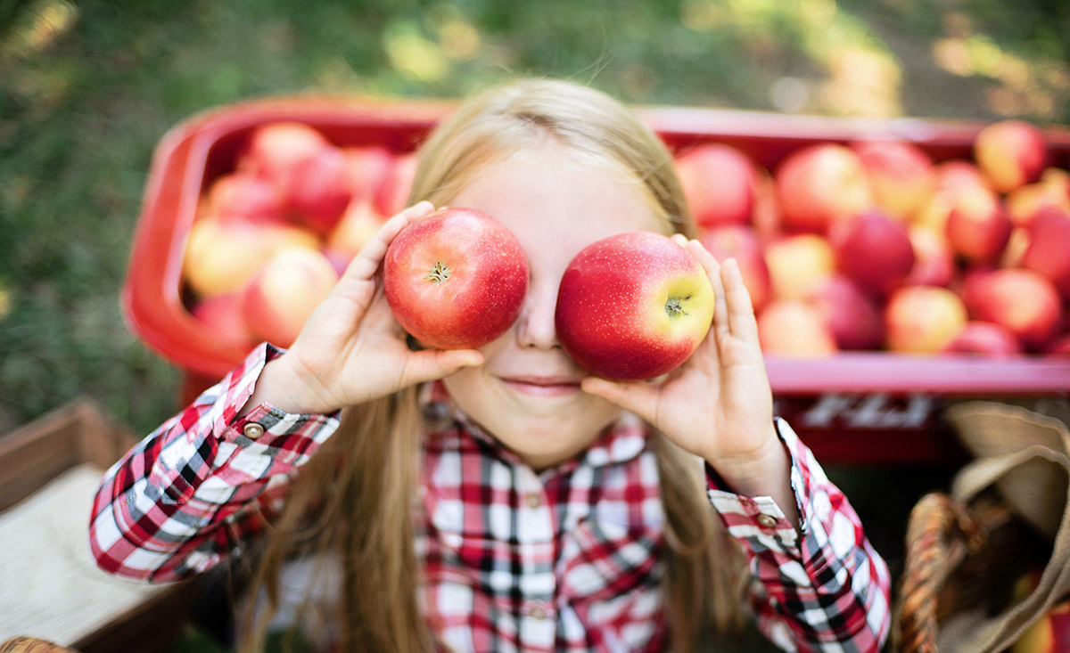 apfelernte-bauernhof-deutschland
