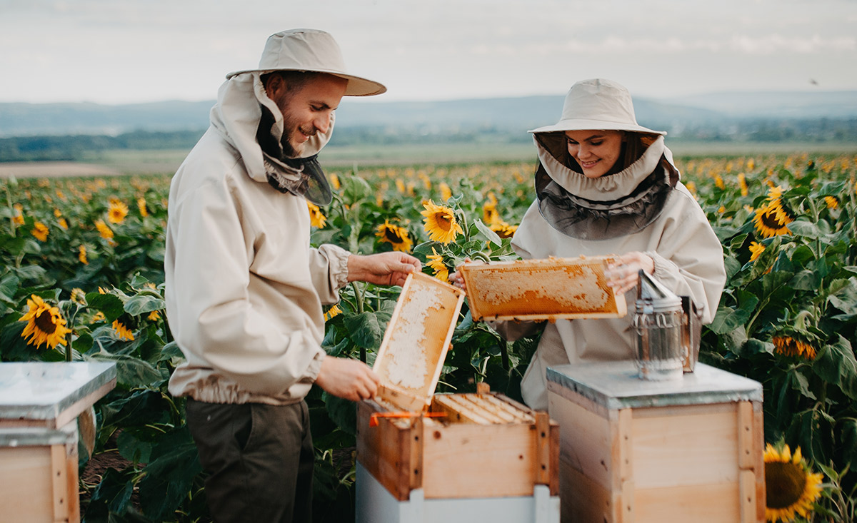 imkerei-bauernhof-deutschland