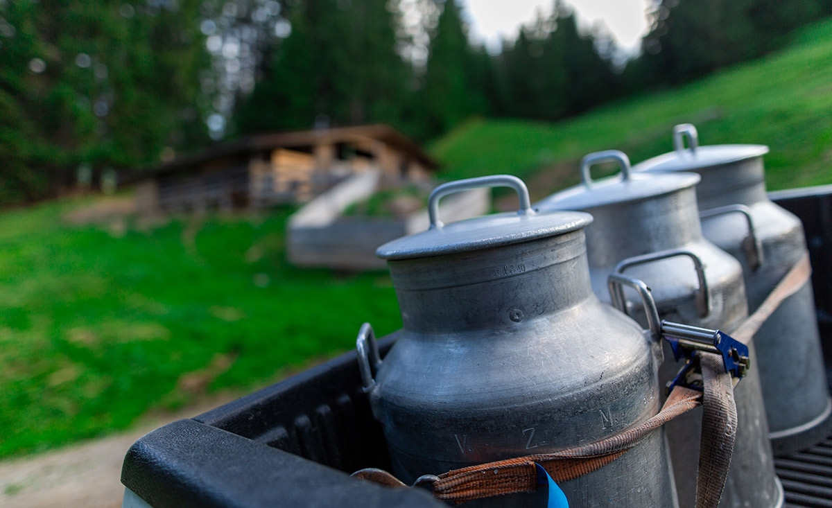 milchkannen-schweizer-berghof