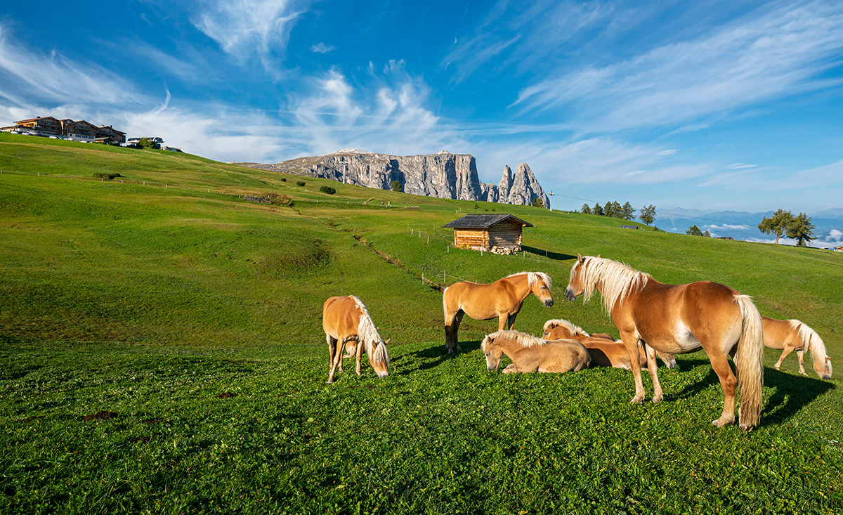 Urlaub am Bauernhof in Südtirol