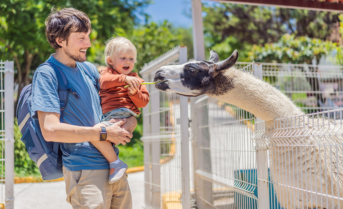 Lama füttern - Familienurlaub mit Streicheltieren