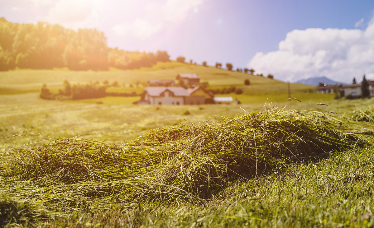 Urlaub im Bauernhof auf der Alm