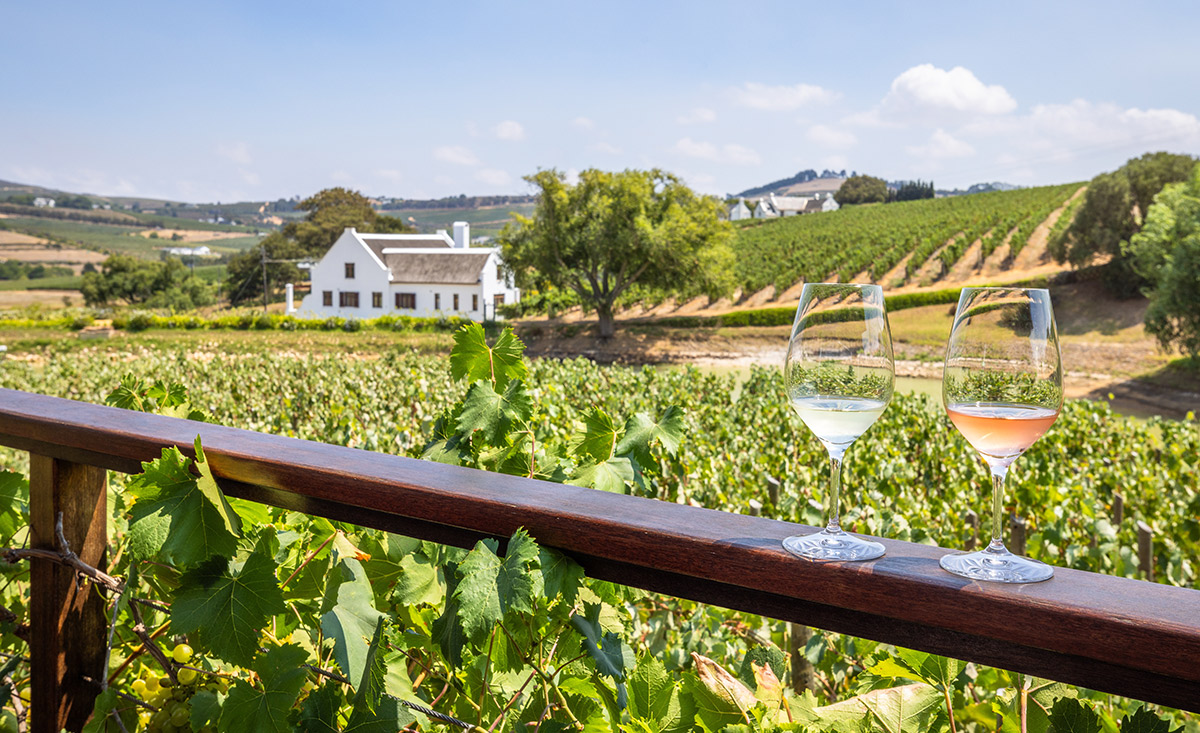 Romantischer Urlaub am Winzerhof mitten in den Weingärten