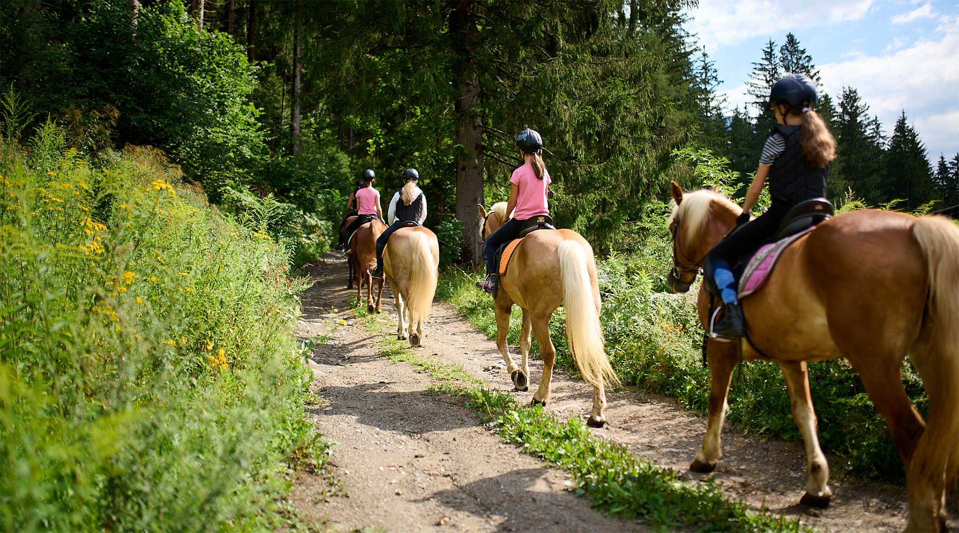 Priesteregg Premium Eco Resort